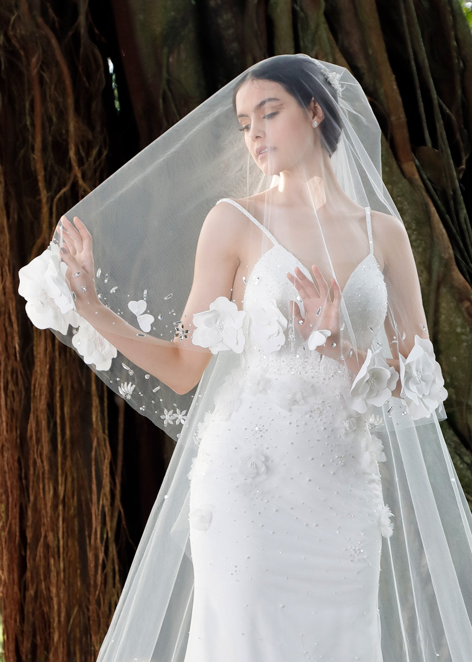 wedding dress with long veil Modern V neck See through Long Train placed crystals add a touch of sparkle and sophistication Veils Blossoms Bridal & Formal